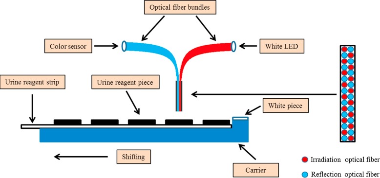 Study on a novel portable urine analyzer based on optical fiber bundles -  ScienceDirect