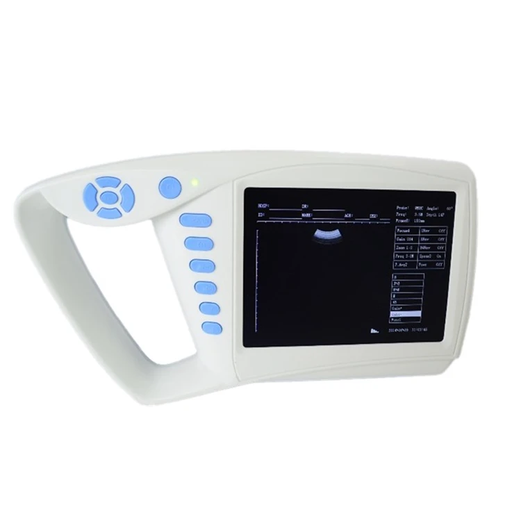 Hold Held Ultrasound Scanner
