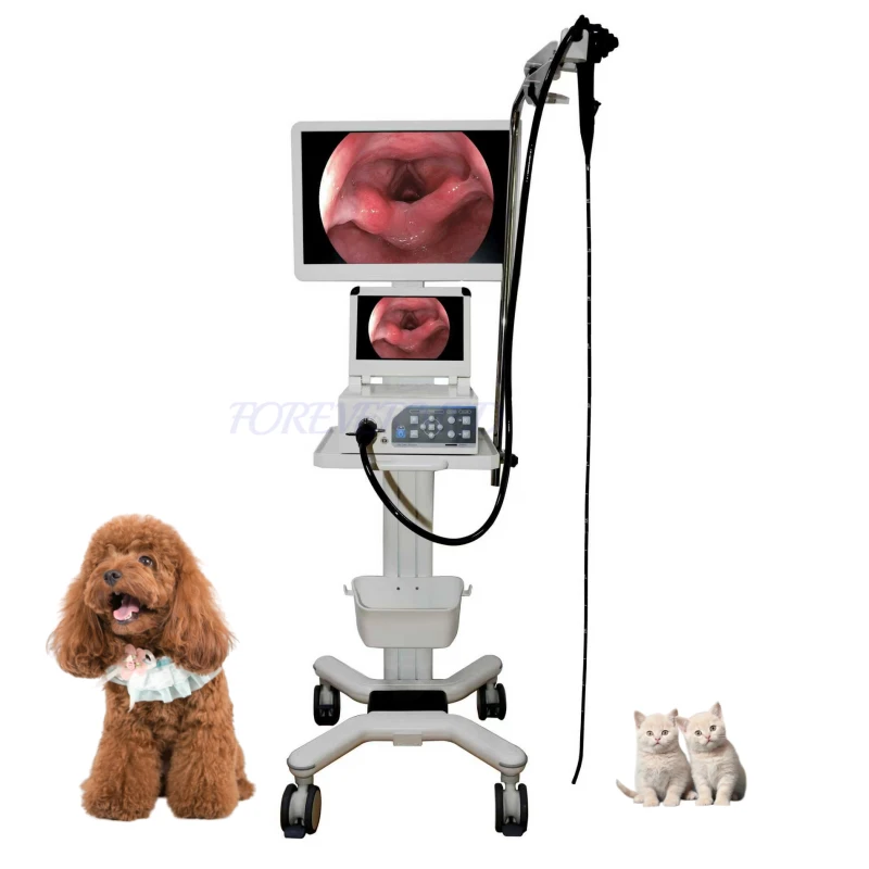 Endoscope Veterinary suppliers
