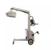 Yksinkertainen eläinlääkintäröntgen