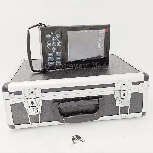 pig pregnancy ultrasound scanner